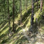 trotz häufiger Blicke auf die Berge gegenüber, ist der Gommer Höhenweg nicht so sehr ein Weg der Ausschau in die grosse Weite