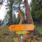 ...steigen wir über einen Waldweg steil hinauf und erreichen bei Riti wieder den Gommer Höhenweg