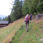 wir wandern aber auf gleichbleibender Höhe nun talauswärts