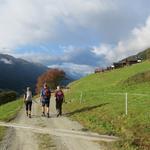 durch ein Waldstück wandern wir an Gifi 1521 m.ü.M. vorbei...