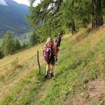 der äusserst angenehme und abwechslungsreiche Gommer Höhenweg, ist weiterhin vorbildlich beschriftet und ersichtlich