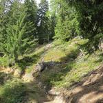 auf dem Gommer Höhenweg, einer rund 24 Kilometer langen Weitwanderroute, lässt sich dieses einzigartige Hochtal...