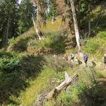 ...zwischen Oberwald bis nach Bellwald zu Fuss erleben, den südexponierten Hängen entlang