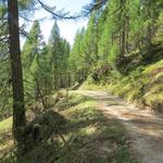 ...besteht eventuell die Neigung, der Gommer Höhenweg zu unterschätzen