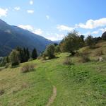 weiter geht unsere Wanderung Richtung Bellwald