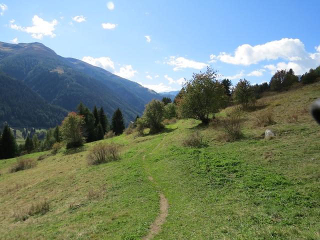 weiter geht unsere Wanderung Richtung Bellwald