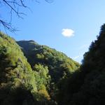 durch den dichten Wald und dem Hang entlang, geht es weiter tief in das Val della Porta hinein