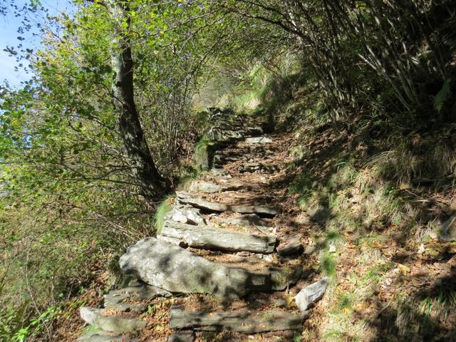 ...über die Schlucht hinaus, weiter aufwärts