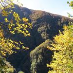 Tessin wie wir es kennen. Steile Berghänge und Wald soweit das Auge reicht