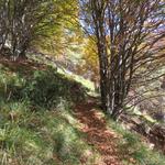 ...und steigen danach über einen Zickzack Bergweg weiter aufwärts. Die Vegetation ändert sich nun wieder