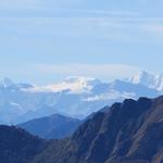 Blick in die Walliser Alpen