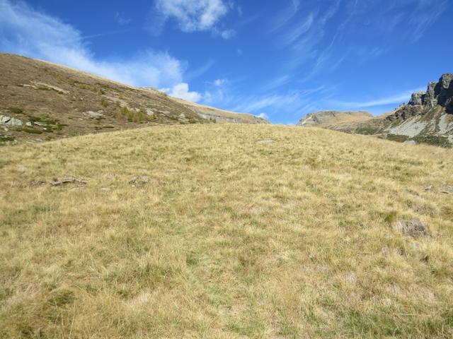 nur Pfadspuren zeigen einem nun den Weg durch die Alpe Mognora 1800 m.ü.M.