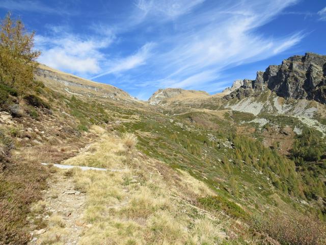 ...laufen wir weiter über diese grosse Alp aufwärts