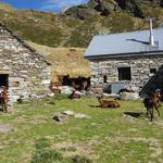 hier oben bei dieser Capanna lockt der ultimative Abenteuer die Wanderer in den Alpen finden können