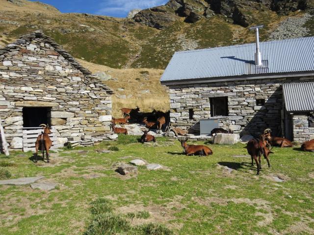 hier oben bei dieser Capanna lockt der ultimative Abenteuer die Wanderer in den Alpen finden können