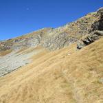 alles der Ostwand des Pizzo di Vogorno, führt uns der nicht immer ersichtliche Bergweg zur kleinen Rinne