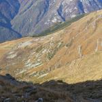 Tiefblick zur Alpsiedlung Bardughè