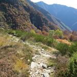 über einen zunächst breiten Wanderweg geht es nun nach Odro hinunter