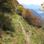 der Wanderweg führt uns nun aus der Schlucht des Valle del Molino heraus