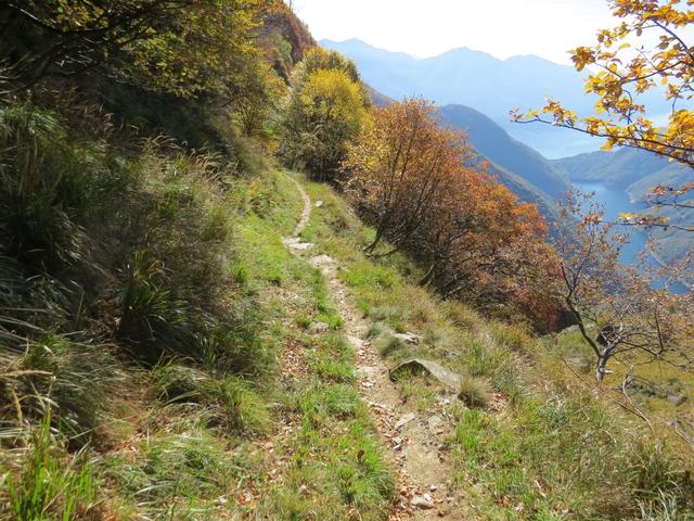 der Wanderweg führt uns nun aus der Schlucht des Valle del Molino heraus