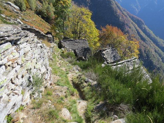 es ist unglaublich das an diesem sehr steilen Berghang 1392 m.ü.M., Alphäuser erbaut wurden