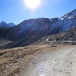 über ein kleines Strässchen geht es zunächst leicht bergab über die Skipiste, die vom Piz Corvatsch herabkommt