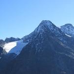 Blick auf den Vadret da Misaun, Piz Tschierva und Piz Morteratsch