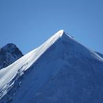 was für ein Anblick, der Piz Roseg (Schneekuppe)