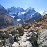 was für ein Panorama! Piz Morteratsch, Biancograt mit Piz Bernina, Piz Scerscen, Piz Roseg und die Gemelli