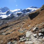 ohne grosses Gefälle durchwandern wir immer wieder Bächlein