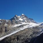 Blick auf Schneekuppe und Piz Roseg