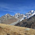 auf der anderen Talseite grüssen Piz Tschierva, Piz Morteratsch, Piz Bernina mit Biancograt und Piz Scerscen