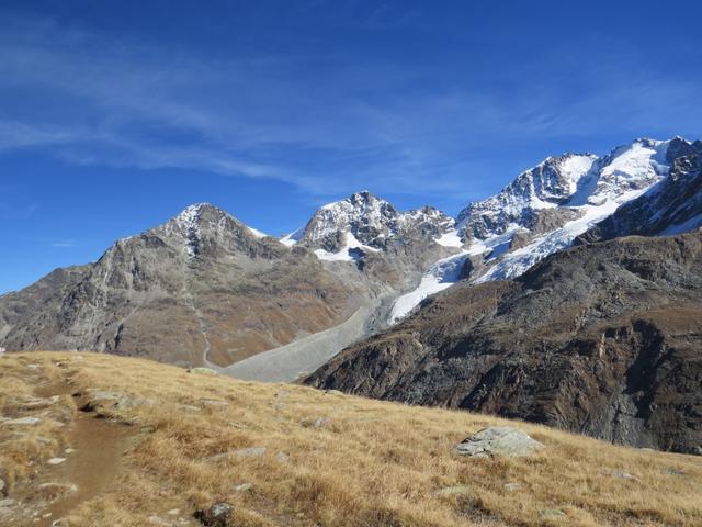 auf der anderen Talseite grüssen Piz Tschierva, Piz Morteratsch, Piz Bernina mit Biancograt und Piz Scerscen