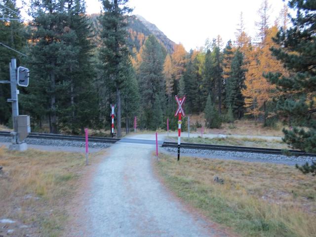 kurz nach dem Parkplatz, überqueren wir bei Punkt 1812 m.ü.M. die Bahngeleise der Rhätischen Bahn