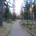 ...geht es alles Taleinwärts 1812 m.ü.M.