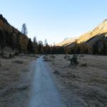 nach einem Engpass wird der Weg wieder bequemer und führt über dem breiten Talboden von Alp Seguonda 1943 m.ü.M. über Weiden