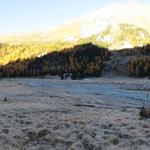 der rechtsabbiegende Wanderweg führt durch einen weiten, vom Gletscher geformten Talboden über die Ova da Roseg zum Hotel Rose