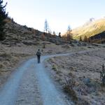 mit dem Blick auf einen eindrücklichen Kranz von Berggipfeln, wandern wir eben weiter geradeaus Richtung Chamanna Tschierva