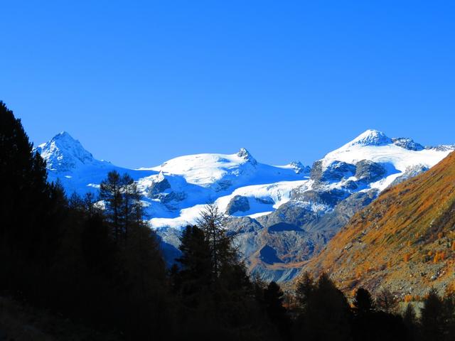 mit dem Blick auf einen eindrücklichen Kranz von Berggipfeln, bedeckt von Eisströmen...