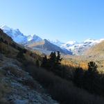 Blick auf das weite vom Gletscher geformte Talboden, und zur Ova da Roseg