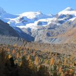 unser Blick schweift über die riesige Seitenmoräne des Vadret da Tschierva zum Il Chapütschin, La Muongia und Piz Glüschaint