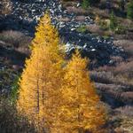 diese Farben im Oktober, einfach traumhaft