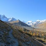 kein einziges übermässig steiles Wegstück bei Alp Misaun 2014 m.ü.M...