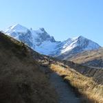 der Piz Roseg, der bezüglich Architektur schönste Bündner Berg stets vor Augen