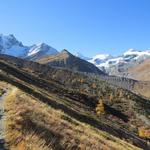 der Hüttenweg beginnt nun langsam anzusteigen 2098 m.ü.M.