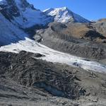 hier auf diesem schmalen Rand der Seitenmoräne ist zu erkennen, wie riesig der Gletscher vor nicht allzu langer Zeit noch war