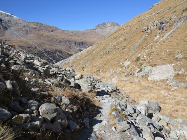 bei Punkt 2396 m.ü.M. verlassen wir wieder die Seitenmoräne, und blicken nochmals zurück