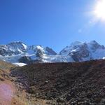 Blick auf Biancograt, Piz Bernina, Piz Scerscen, Piz Roseg und Piz Aguagliouls