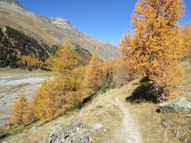 kurz nach der Alp Misaun, verlassen wir den Wanderweg...