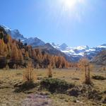 ...und biegen links ab hinunter zu der Schwemmebene auf der Val Roseg